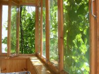 ��� ���� � ����� ���� ���� 4-������� �������� �� ���������. ���. �. ������� 9. �. ��������� ��� �������� ����