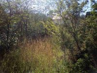 ������ ����������� ���� ��� ����������, �. ���������, ����. ������. ����� ������ ������������� ����, ����� ������ �������