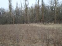 ������ ������������� �������� ������� ����� �������� 0,50 �� ������������� � 50 ������ �� ���� � ���������