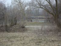 ������ ������������� �������� ������� ����� �������� 0,50 �� ������������� � 50 ������ �� ���� � ���������