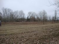 ������ ������������� �������� ������� ����� �������� 0,50 �� ������������� � 50 ������ �� ���� � ���������